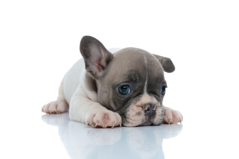 AdobeStock_359818691